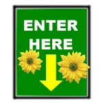 Enter Here9