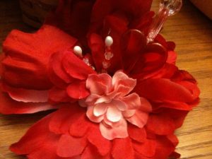 IMG_1772 IMG 1772
