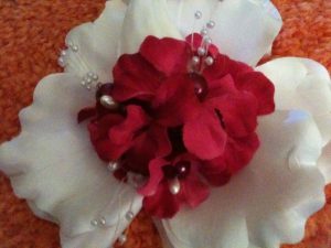 IMG_1778 IMG 1778