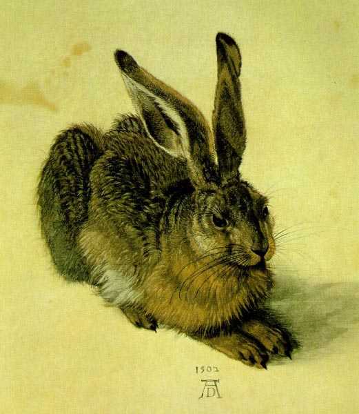 hare