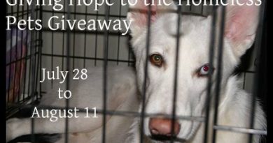 homeless pet button1