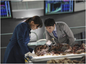 Bones 2