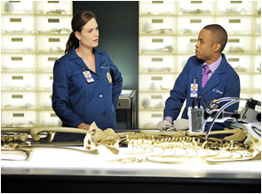 Bones 4