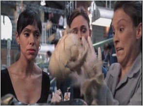 Bones 5