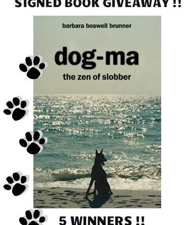 Dogma