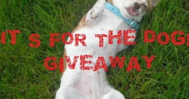 ItsForTheDogBUTTON