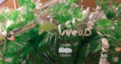 St. Patricks Day Gift Bags