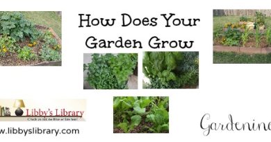 How Does Your Garden Grow