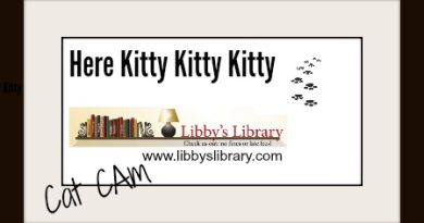 Here Kitty Kitty Kitty