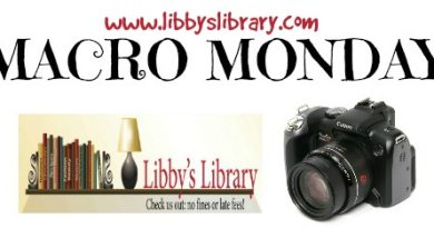 New Macro Monday