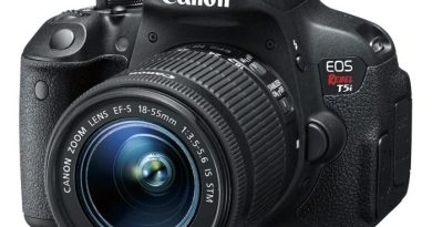Canon Holiday Image e1472408976235