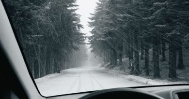 Over the River and Through the Woods