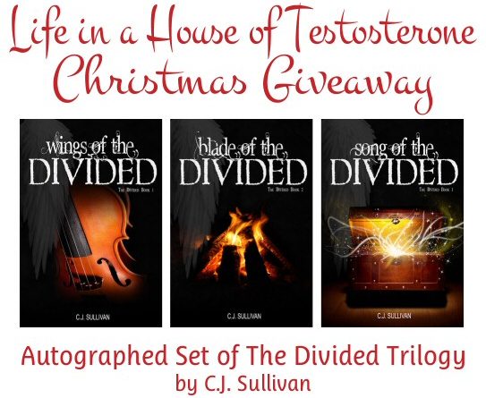 the divided trilogy