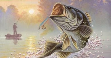 SPRINGFISHINGFUNONE