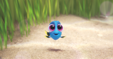 dory