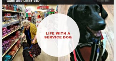 GoDaddy’s GoCentral Website Builder Service dog and handler