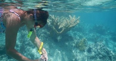 snorkel 1739284 640