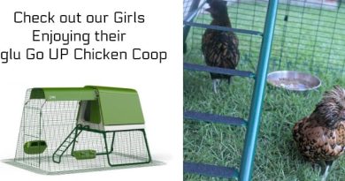 Coop FI