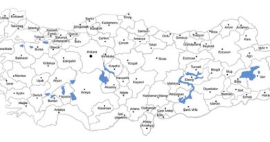 Turkey Feature Image