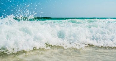 Beach FI