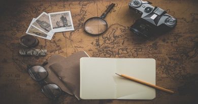 Travels FI