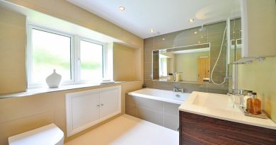bathroom 1336167 960 720