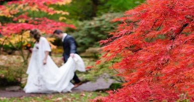 Fall Wedding FI
