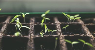 Gardening 101 FI