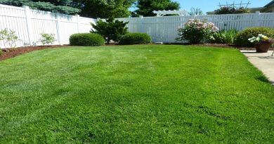 Lawn Garden