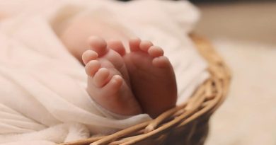 newborn 1399155 960 720