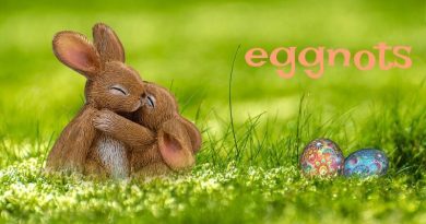 eggnots FI
