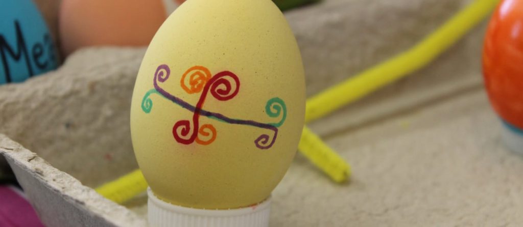 Eggs or eggnots There's Really NO Question