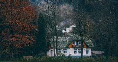 House 1