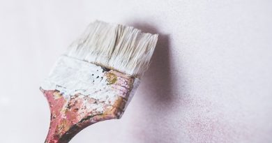 brush 792069 960 720 1