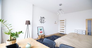 Studio Apartment with a Plant, Floor Lamp, Desk, Bed and Picture of a Big Pink Cupcake