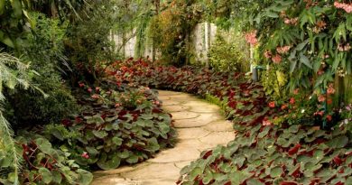 Lush Garden with Pavers - Genius Garden Maintenance Hacks You Need To Know