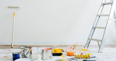 Painting Materials Scattered Inside a Room - Should You Buy a Renovation Property?