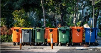 A row of colorful garbage bins - Hire a Trash Removal Company to Keep Your House Clean and Healthy