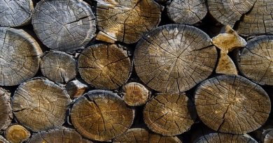 Rounds of Wood - Ways to Make Your House More Romantic