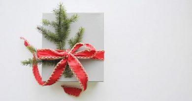 HOliday Package