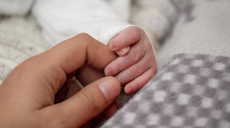 Adult and Newborn Hands - Surrogacy