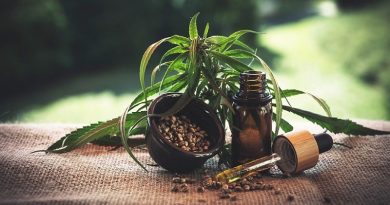 Hemp and Bottle of CBD Oil