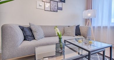 Ergonomic Sofa