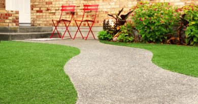 Yard with Walkway and Chairs - Creating a Garden You Can Use All Year Long