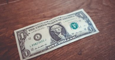 Dollar Bill - Spending Money To Save Money On Your Home