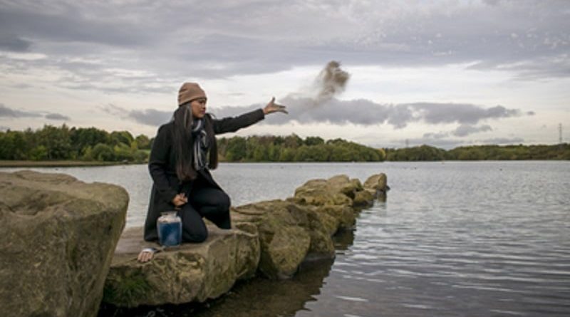 Your Guide to Scattering Ashes Meaningfully