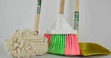 Mob Broom and Dustpan - Getting The Housework Done