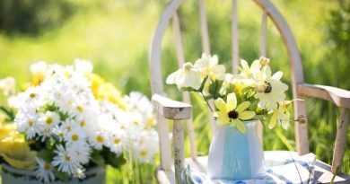 How To Reinvent Your Garden Space