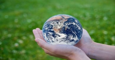 Hands holding sphere that looks like the earth - Famous Environmentalists: 5 Environmental Activists You Need to Know