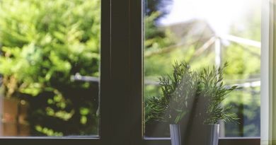 Window with no curtains or blinds -Blinds Are Broken